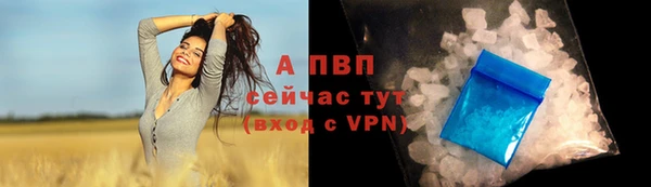 винт Кодинск